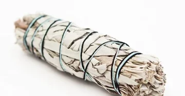 Buy White Sage Product in Usa